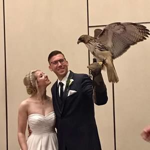 Meet your Posher, Kitty